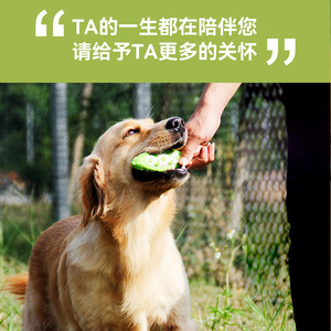 Chewable Durable Beef Flavored Nylon Simulated Bitter Melon Large Dog Teething Toy - Product Image 4