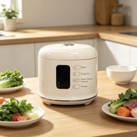 Autocuiseur multifonctionnel en gros WT-D03-1.6L 1.6L 400W 7 modes de cuisson avec contrôle tactile pour petite famille