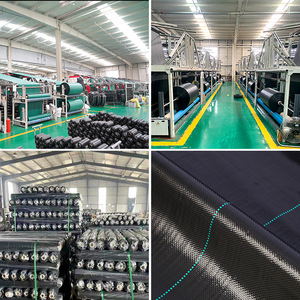 Custom Made Perforated Weed Control Fabric Black Non Woven Anti Uv Garden Ground Cover Shandong Origin - Product Image 1