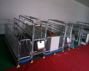 Aangepaste Farrowing Staal Varken Pen Ontwerp Apparatuur Voor Eu Markt - Product Image 4