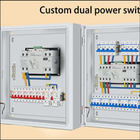 Armoire de Distribution Chint Personnalisée avec Disjoncteur MCCB LE 4P 100A 415V 8KV – Coffret Électrique