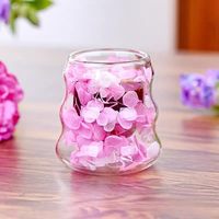 Mug en verre à double paroi résistant à la chaleur pour café, fleurs séchées, tasse en verre à double paroi