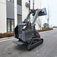 Chargeuse compacte sur pneus et chenilles diesel, nouvelle, très demandée, certifiée EPA, avec moteur et accessoires (bêche)