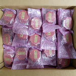 Codificador de Pulsos Servo FANUC A860-2051-T321 BIA1000 en Stock - Product Image 5