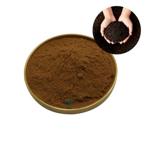 <span class=keywords><strong>Hojicha</strong></span> bubuk teh hijau panggang alami, bubuk <span class=keywords><strong>Hojicha</strong></span> organik panggang gelap instan - Product Image 1