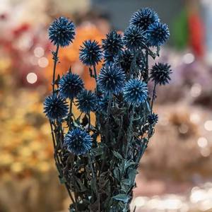 Bouquet d'échinops artificiels séchés et préservés, arrangement de fleurs bleu sarcelle pour les occasions de remise des diplômes et de Noël - Product Image 4