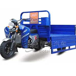 Original Factory Custom Motorcycle Tricycle Cargo Tricycle Motorized Gasoline Tricycle Three Wheel Motorcycles for Sale