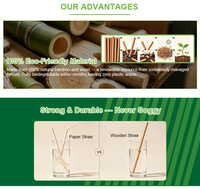 Pajitas de Bambú Biodegradables al por Mayor, Pajitas de Madera Desechables Ecológicas y Compostables para Cafeterías