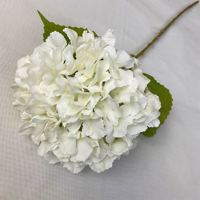 milk white