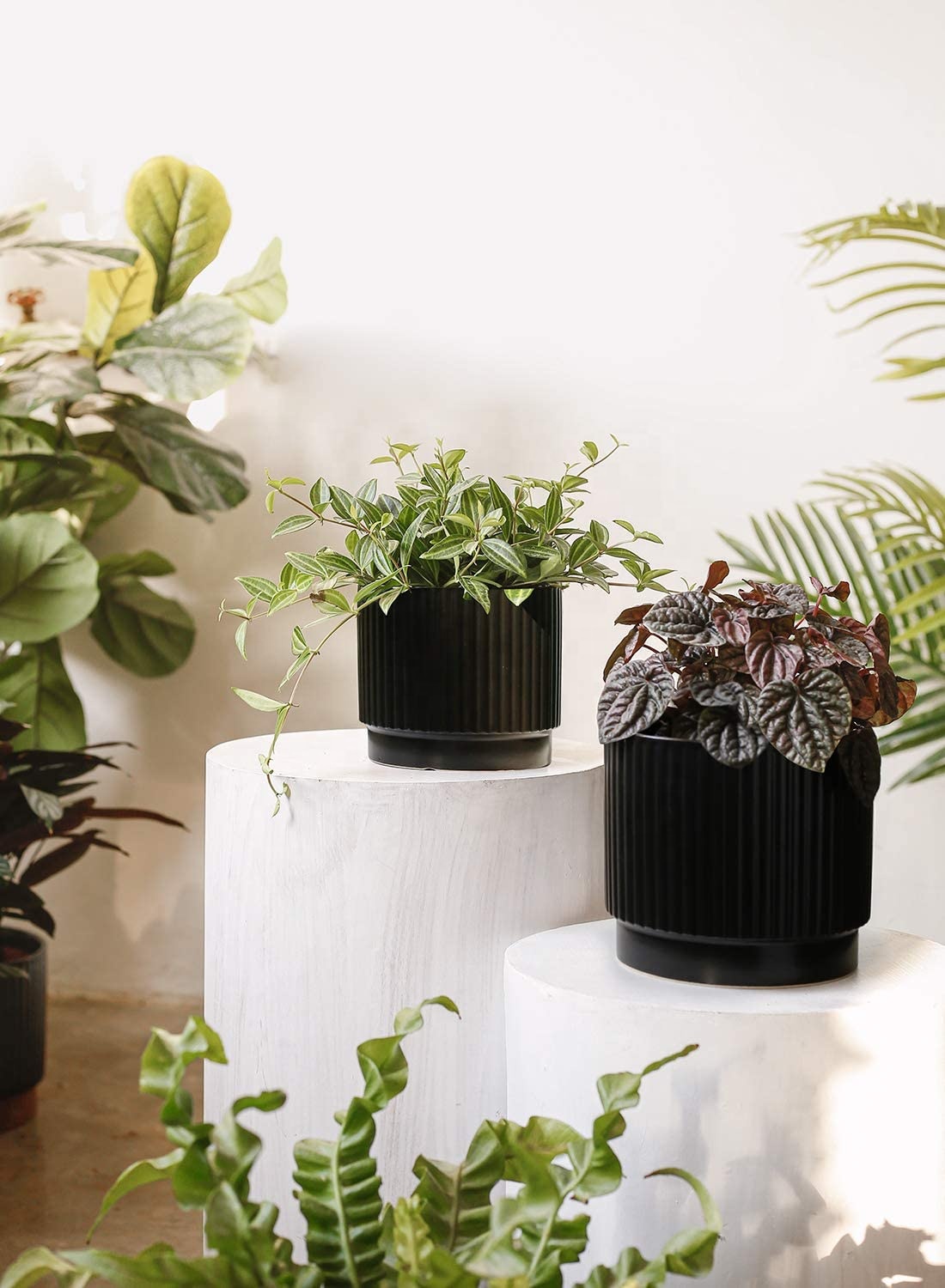 decoration for the garden