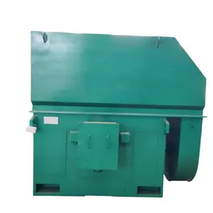 Cone Rotor 3-Phase Motor Single Phase Weg 480v 250kw 3 Phase Induction 11kw Ac Induction Motor