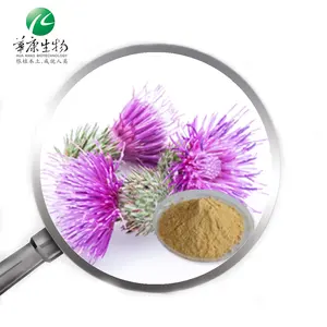 Water soluble Milk Thistle Extract powder from 40% or 80% silymarin