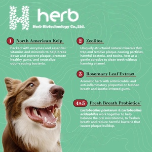 อาหารเสริมผงดูแลสุขภาพฟันสัตว์เลี้ยงแบบสั่งทำยี่ห้อส่วนตัวของออสการ์ โฮลเซลล์ พร้อมโปรไบโอติกส์ ช่วยให้ลมหายใจหอมสดชื่นและฟันสะอาดสำหรับสุนัข - Product Image 2