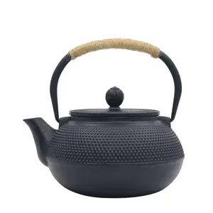 日本tetsuin铸铁茶壶茶壶，带不锈钢浸泡器，内部搪瓷