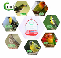 Nouvelles cages d'élevage pour perroquets de haute qualité en gros – Fournitures pour oiseaux, cages pour animaux de compagnie