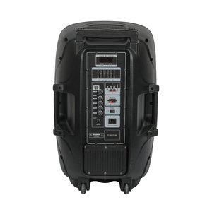 Altoparlante familiare da 15 pollici, 40W, con batteria al piombo, ingresso USB/<span class=keywords><strong>TC</strong></span> 15V, ad alta potenza e lunga durata, per feste in famiglia, prodotto da Amaz factory wholesaler. - Product Image 4