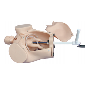 Modelo de Enseñanza de Parto Manual Avanzado, Simulador de Parto de <span class=keywords><strong>Obstetricia</strong></span> <span class=keywords><strong>y</strong></span> <span class=keywords><strong>Ginecología</strong></span> - Product Image 1