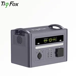 Tig Fox 1000W 2500W AC/DCコンセントバックアップリチウム電池家庭用エネルギー貯蔵電源屋外ポータブル発電所