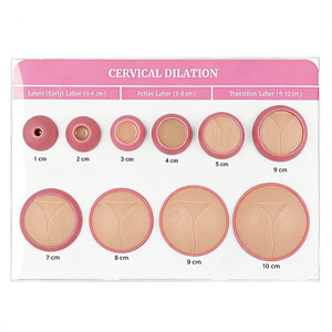 Demonstrador de Dilatação Cervical para Parto DARHMMY - 8 Modelos Mostrando Abertura de 1-10 cm para Prática de Obstetrícia - Product Image 1