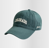 Gorra de Béisbol de Alta Calidad, 100% Algodón, Estilo Vintage, Transpirable e Impermeable, Venta al Por Mayor, 6 Paneles, Logotipo Personalizado, Bordado 3D