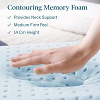 Vente en gros OEM Oreiller moderne en mousse à mémoire de forme pour le cou Soulagement de la douleur cervicale Style solide 200TC Accessoire de couchage