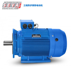 Moteur asynchrone triphasé Seva-Tec en fonte 300 pour équipement industriel - Product Image 4