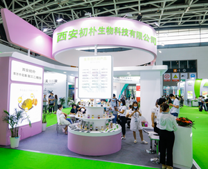 Peptide di Nido d'Uccello 98% Peptidi Attivi a Piccole Molecole Oligopeptide di Nido d'Uccello Estratto di Nido d'Uccello Polvere EBNP - Product Image 6