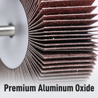 Disque abrasif en oxyde d'aluminium REX à dureté moyenne 25mm/6mm pour meuleuses/ponceuses, fixation sur broche, acier inoxydable OEM OBM