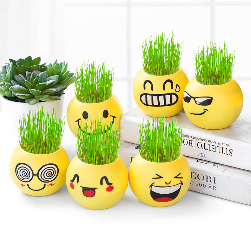 10 poupées à tête d'herbe