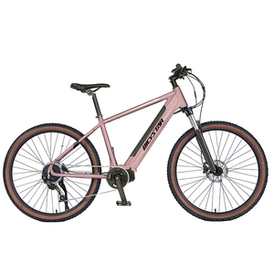 <span class=keywords><strong>VTT</strong></span> <span class=keywords><strong>29</strong></span> <span class=keywords><strong>pouces</strong></span> suspension complète bmx oem <span class=keywords><strong>électrique</strong></span> dirk mtn <span class=keywords><strong>VTT</strong></span> 250w1000 watt dirt - Product Image 5