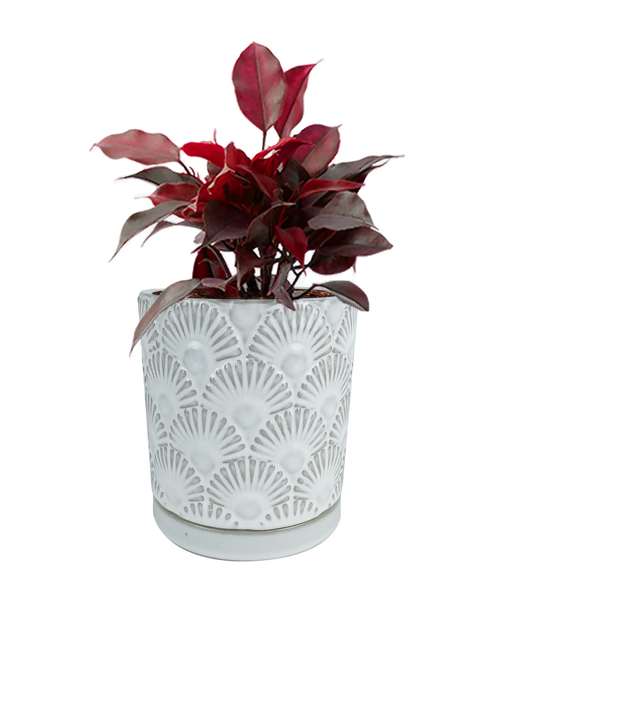 New Design Ceramic Flower Pot with Plate Solid Glazed Bonsai with Exquisite Fan Embossed Modern Home Decor