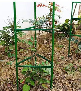 เสาค้ำต้นไม้เหล็กสำหรับยึดต้นมะเขือเทศ - Product Image 3