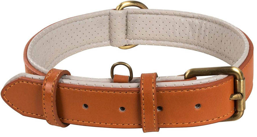 สีน้ำตาลอ่อน