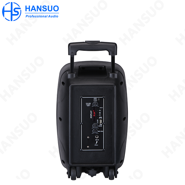 Single 8 Inch Media 20W High Power Portable Speaker HS-TS0815