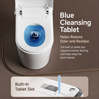 WC intelligent à poser au sol avec réservoir intégré et fonction bidet pour marque d'articles sanitaires OEM