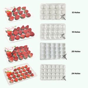 Bandeja de plástico transparente desechable <span class=keywords><strong>para</strong></span> fresas Caja de exhibición de embalaje de concha de 24 celdas <span class=keywords><strong>para</strong></span> <span class=keywords><strong>frutas</strong></span> de granja - Product Image 3