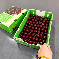 Caisse de transport en Corflute durable pour cerises, résistante aux chocs, incolore, inodore, boîte d'emballage pour fruits