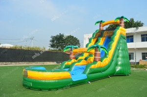 Piscine gonflable d'enfants de glissière d'eau du jardin 20ft avec la glissière à vendre - Product Image 6