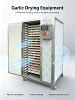 Machine de séchage de l'ail à circulation d'air chaud, four de séchage en acier inoxydable, déshydrateur multi-plaques pour le traitement des gousses d'ail