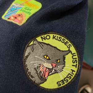 Pas de bisous juste sifflements Patch végétalien adhésif drôle amoureux des chats en colère fer ou coudre sur des patchs brodés brodés - Product Image 4