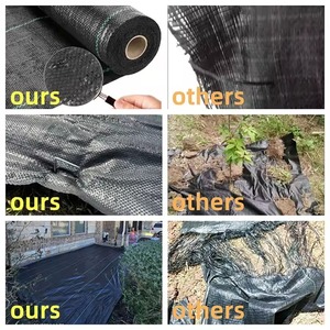 Film de paillage agricole noir biodégradable UV, couverture en plastique soufflé pour le contrôle des mauvaises herbes, respectueux de l'environnement - Product Image 5