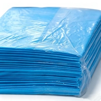 Draps médicaux jetables portables très demandés, matelas imperméable non tissé respirant avec trous pour une utilisation en milieu hospitalier