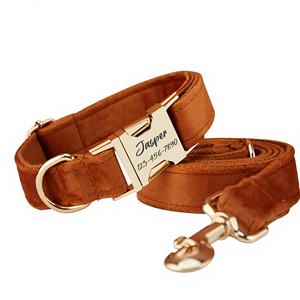 Ensemble collier et laisse pour chien personnalisé Caramel Veet, boucle en métal gravée sur mesure, cadeau d'anniversaire pour chiot, livraison gratuite - Product Image 1