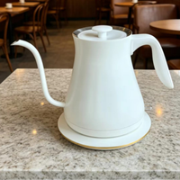 Bouilloire électrique de 0,8 L avec contrôle de la température, portable, en acier inoxydable 304, chauffe-eau avec fonction d'arrêt automatique, pour usage domestique