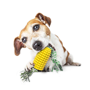Vente chaude <span class=keywords><strong>TRP</strong></span> accessoires pour animaux de compagnie dessin animé mignon jouets à mâcher pour les fuites de nourriture et les dents meulage Intelligence soulagement conçu en usine - Product Image 6