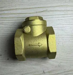 DN15 DN20 DN50 DN100 Brass đu ống nước Đồng hồ nước đồng ngang kiểm tra van cho nước