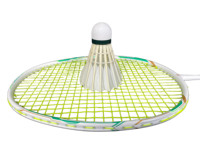 Volants de badminton LINGSHANG LS700 en plumes d'oie de qualité professionnelle, haute durabilité, pour l'entraînement