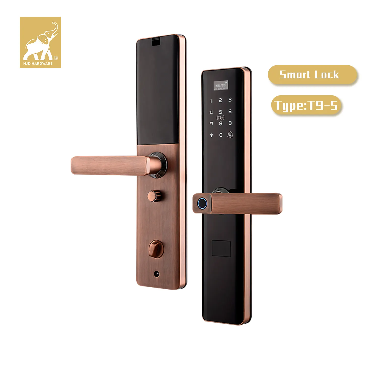 HJD Guangdong produttore nuovo Design serratura intelligente impronta digitale maniglia porta tuya serratura intelligente