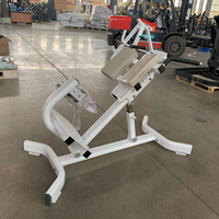 Chaise romaine réglable, banc d'hyperextension, équipement d'entraînement pour l'extension dorsale, machine de musculation pour la maison et la salle de sport