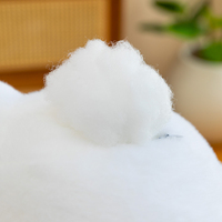 Juguete de Peluche Súper Suave y Adorable, Gato con Forma 3D Sosteniendo un Pez, Alta Calidad, Varios Tamaños, Personalizable, Juguete de Moda